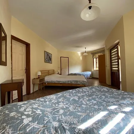 Kedikaya Apart *